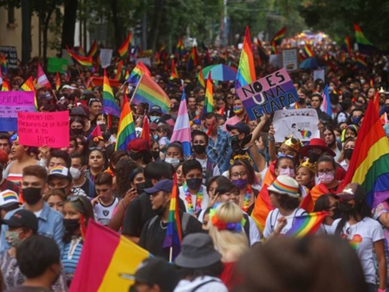 Participación histórica de la comunidad LGBTIQ+ en elecciones - Google