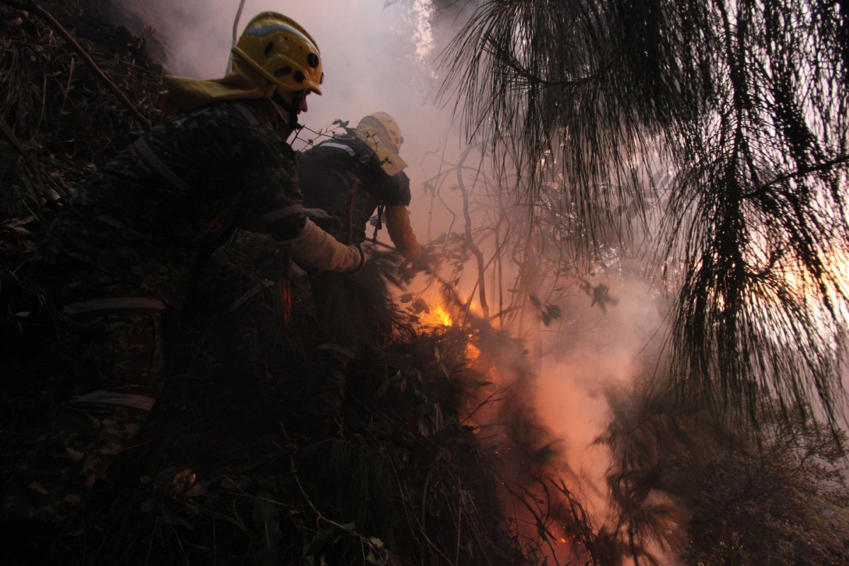 Cerros Orientales siguen ardiendo; El Cable mantiene intensidad de llamas - Foto: Esteban Pérez