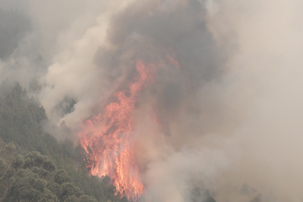 Incendios forestales en Colombia; 12 conflagraciones siguen activas - Foto: Archivo Doomo Editorial