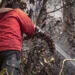 34 incendios siguen activos en Colombia; 17 mil hectáreas consumidas - Foto: Doomo Editorial