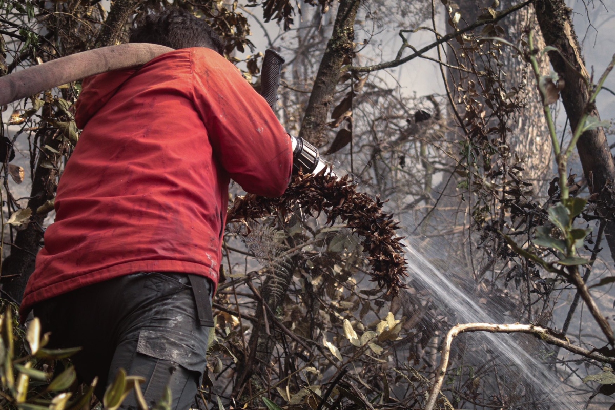 34 incendios siguen activos en Colombia; 17 mil hectáreas consumidas - Foto: Doomo Editorial
