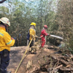 Durante el mes de septiembre se registraron 491 incendios que
afectaron principalmente a los departamentos de Cundinamarca,
Cauca, Huila, Tolima y Nariño - Foto: UNGRD