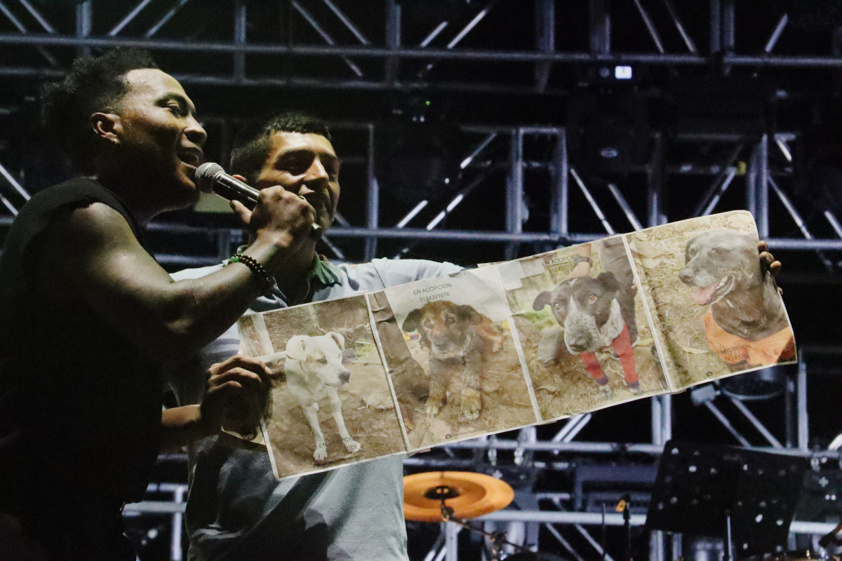 Los cantantes de Cali Flow Latino tuvieron un emotivo momento con un animalista. Al joven le permitieron subir al escenario para que mostrara los caninos que están buscando hogar e indicara los datos de la fundación para pedir apoyo - Foto: Ronald Cano