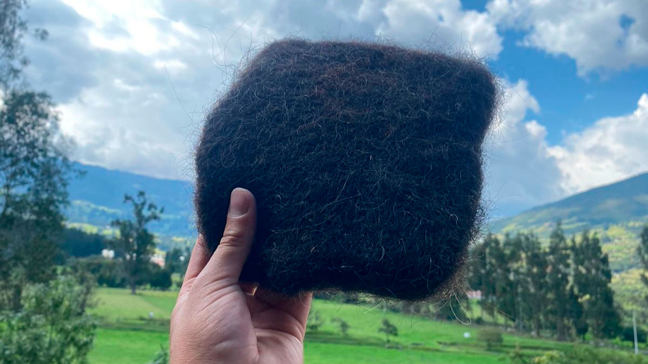 Ecolocos, es uno de los proyectos ganadores. Esta es una esponja hecha de cabello humano que permitirá recoger hidrocarburos en fuentes hídricas - Foto: Ecopetrol