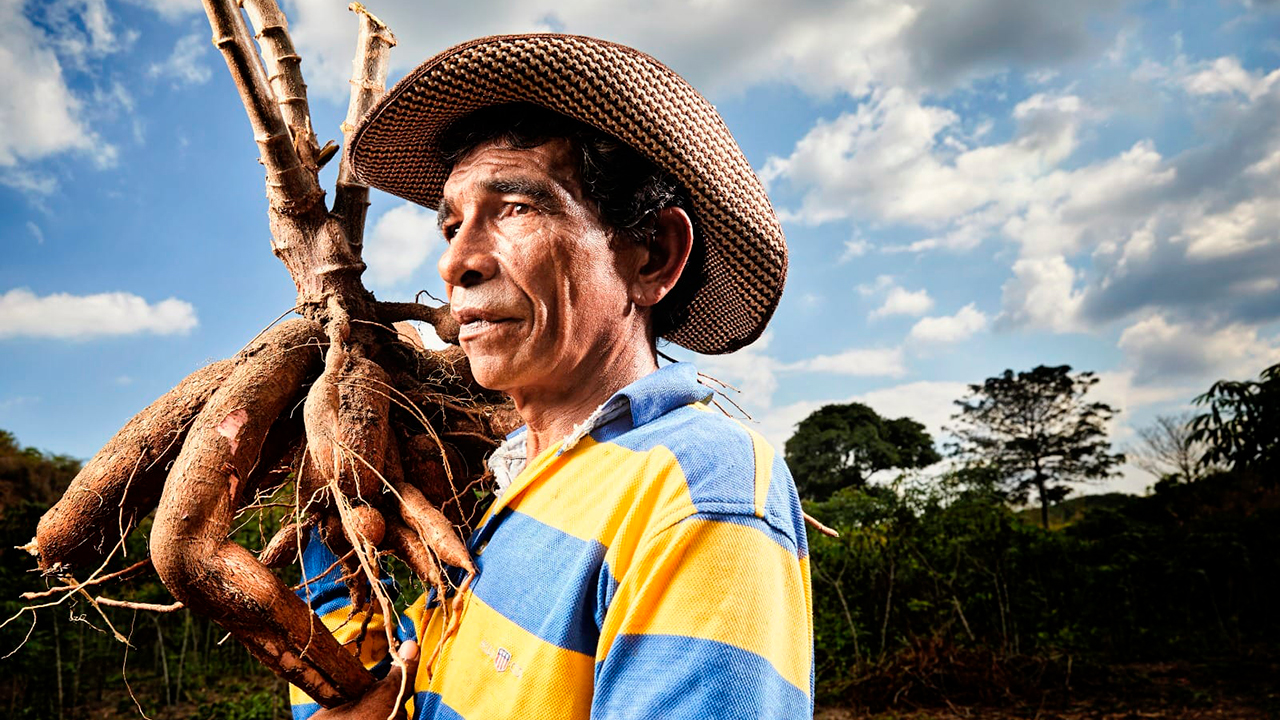 Con miras a garantizar la producción de alimentos y proteger la tierra y las zonas agrícolas en el Catatumbo, el gobierno nacional expidió los 3 primeros decretos en el marco de la conmoción interior - Foto: Ministerio de Agricultura