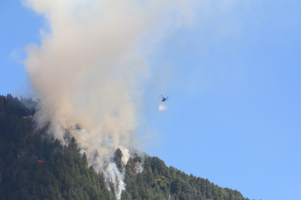 Los incendios de los Cerros Orientales en enero de 2024 tomaron varios días en ser controlados. Las investigaciones apuntan a manos criminales que causaron el fuego - Foto: Ronald Cano