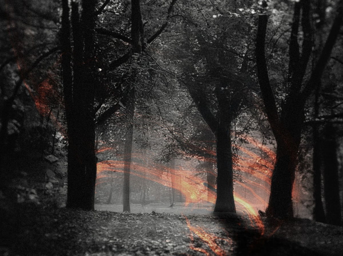 La portada del sencillo es el bosque que está detrás del Usaquén urbano en Bogotá con un estilo neo black noir que es la propuesta visual que integrará todo el disco - Foto: Una Noche en Bogotá