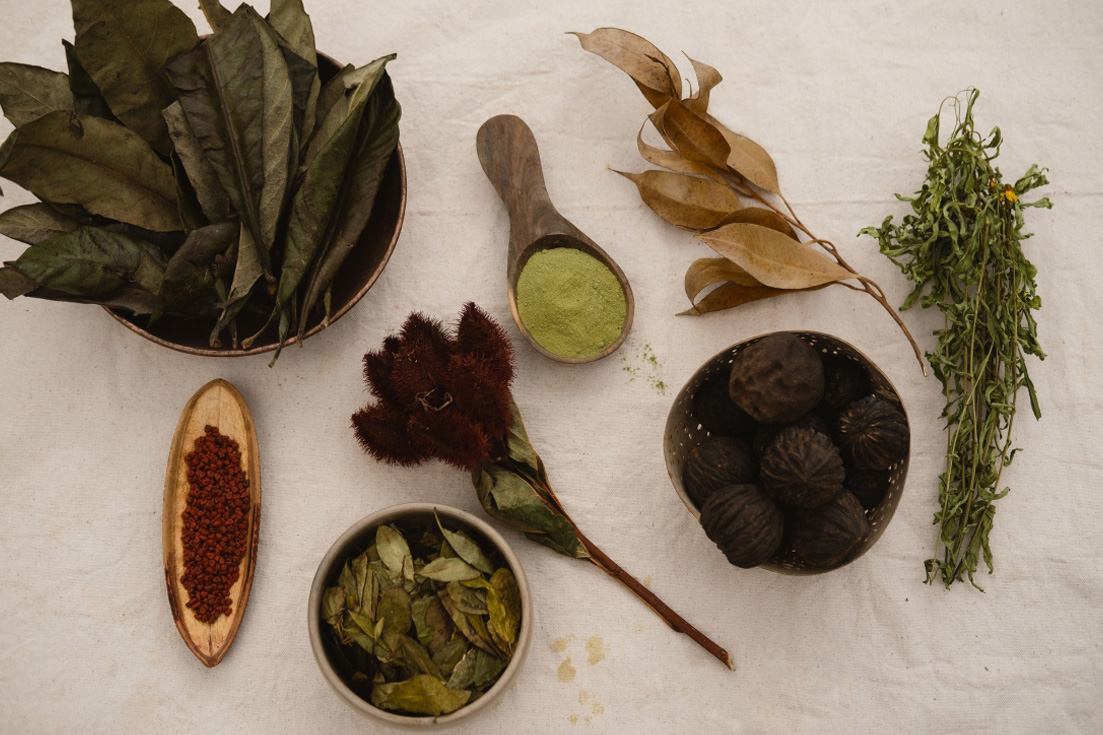 Hoja de coca y otras plantas tintóreas locales para el desarrollo de la paleta de color - Foto: Andrea Finella