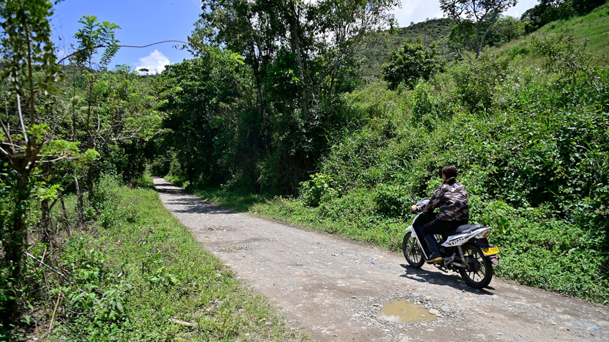 Para la pavimentación de la vía Yolombó–Gelima, el Gobierno nacional, a través de Prosperidad Social, ha destinado $ 9.000 millones, con los cuales se prevé la construcción de los primeros 5 kilómetros, que serán entregados en julio de 2026 - Foto: Prosperidad Social