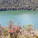 Ordena la verificación de condiciones que permitan evaluar una eventual declaración del agotamiento de agua en la Sabana, así como la necesidad de ajustar concesiones para priorizar el derecho al agua - Foto: Archivo/Ronald Cano