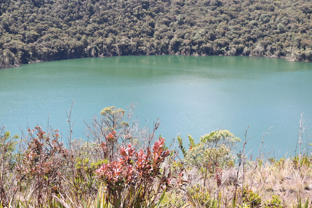 Ordena la verificación de condiciones que permitan evaluar una eventual declaración del agotamiento de agua en la Sabana, así como la necesidad de ajustar concesiones para priorizar el derecho al agua - Foto: Archivo/Ronald Cano