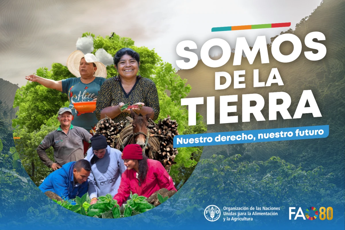 Hablar hoy de la tierra y el territorio, es una necesidad si queremos dar un giro a la historia y pensar en un futuro que beneficie a todas y todos, en el campo y en las ciudades - Foto: FAO