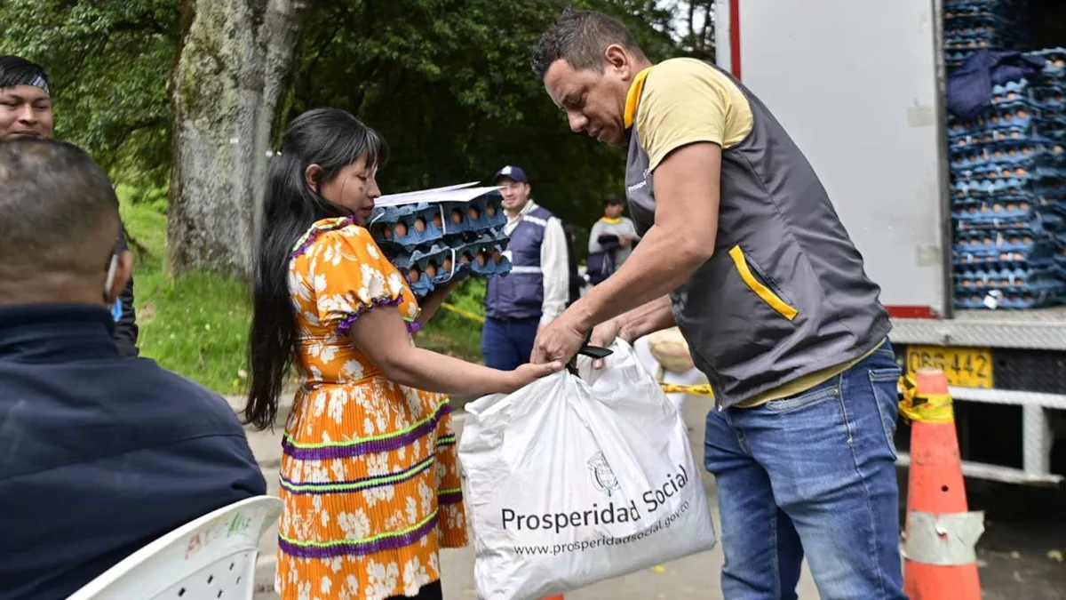 Cada paquete contiene 19 artículos que incluyen canasta de huevos, aceite, arroz, café, avena, frijoles, lentejas, pasta, azúcar, panela, atún y sardinas. La selección responde a una estrategia de atención alimentaria integral, que contempla los distintos grupos nutricionales y busca garantizar el derecho a la alimentación digna de las comunidades étnicas desplazadas - Foto: Prosperidad Social