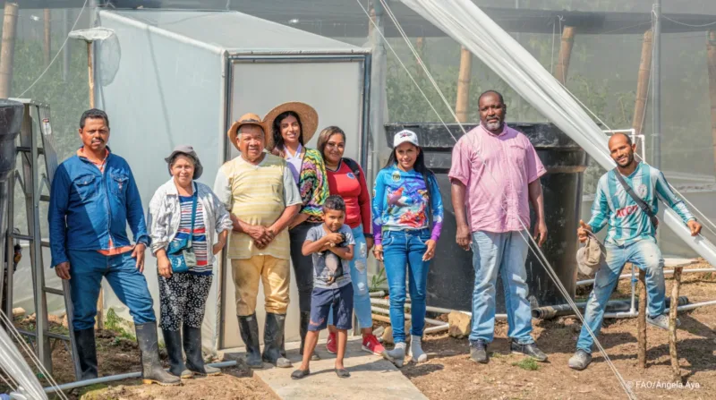 La Red, que inició en 2019, hoy ha logrado unir más de que hoy reúne a más de 3.000 pequeños y medianos productores, 247 emprendimientos familiares y 32 asociaciones de los municipios de Villavicencio, Acacías, Guamal, Castilla La Nueva, San Luis de Cubarral y Puerto Gaitán - Foto: FAO/Ángela Aya