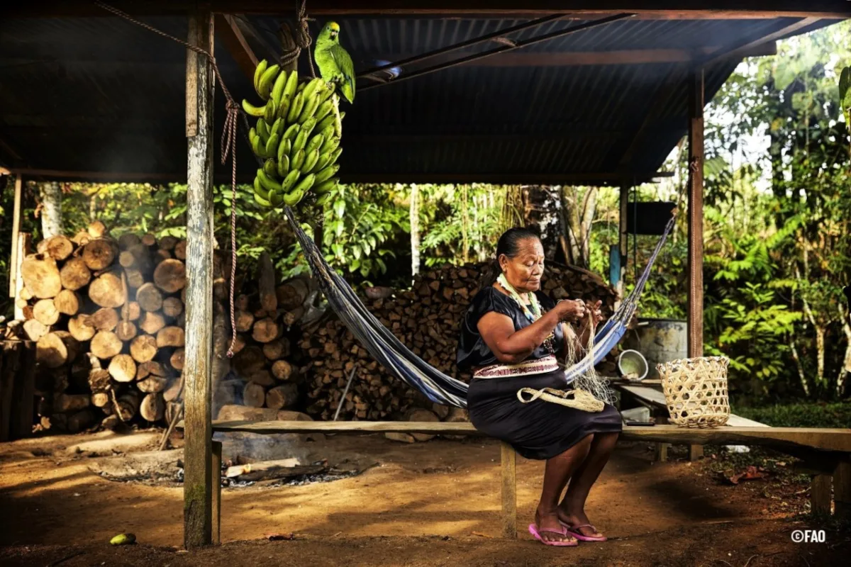 El informe destaca que América Latina y el Caribe es la única región del mundo donde ha aumentado la participación de las mujeres en actividades agrícolas en las últimas dos décadas. Sin embargo, este avance no se ha traducido para ellas en un mayor acceso a recursos productivos ni en representación en espacios de toma de decisiones - Foto: FAO