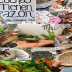 Dia internacional del medio ambiente