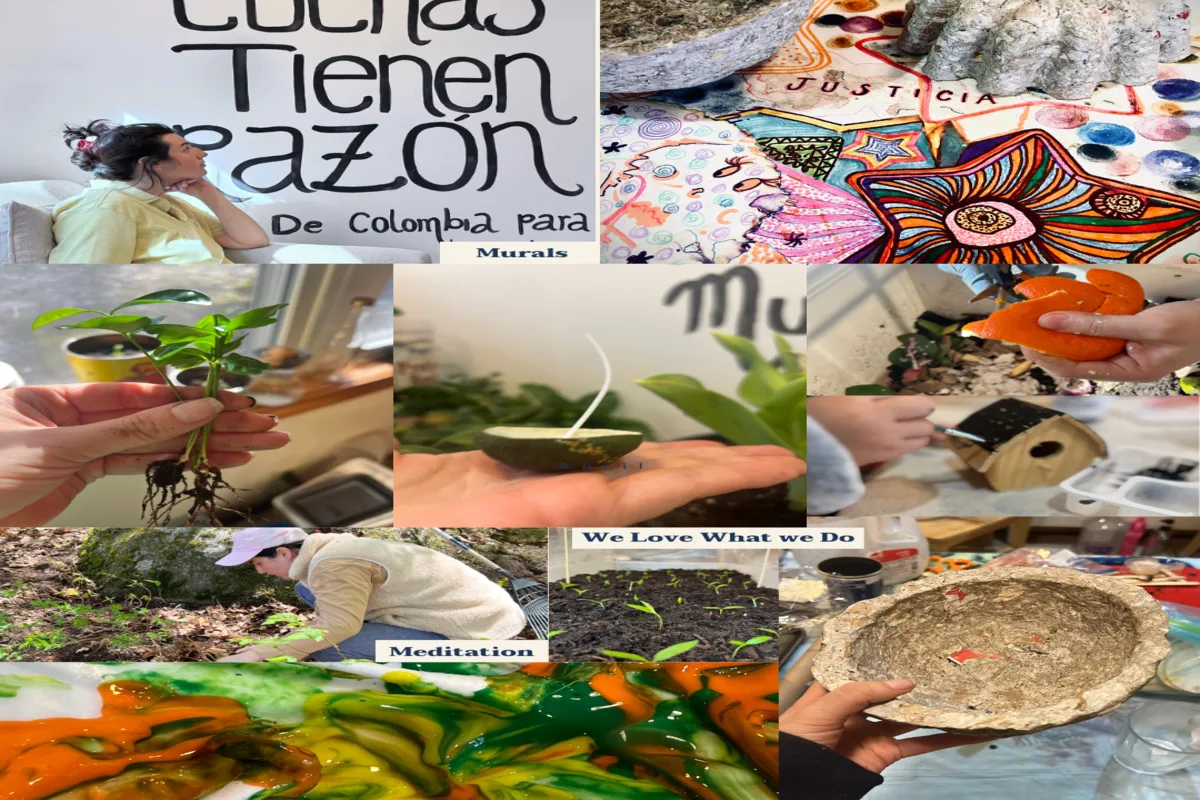 Dia internacional del medio ambiente