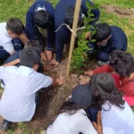 El pasado lunes 26 de mayo de 2025, en horas de la mañana, los nuevos guardianes del verde participaron en una plantación simbólica de 10 árboles de tres especies: guayacán de Manizales, mil flores y ligustro - Foto: Jardín Botánico de Bogotá