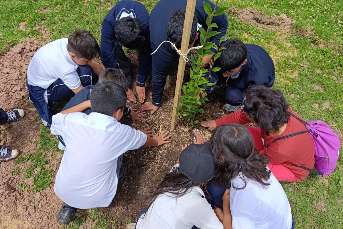 El pasado lunes 26 de mayo de 2025, en horas de la mañana, los nuevos guardianes del verde participaron en una plantación simbólica de 10 árboles de tres especies: guayacán de Manizales, mil flores y ligustro - Foto: Jardín Botánico de Bogotá
