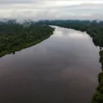 El 22 de agosto, los mandatarios de los ocho países amazónicos se reunirán en Bogotá para refrendar los compromisos y trazar nuevas directrices para los próximos años - Foto: Cancillería