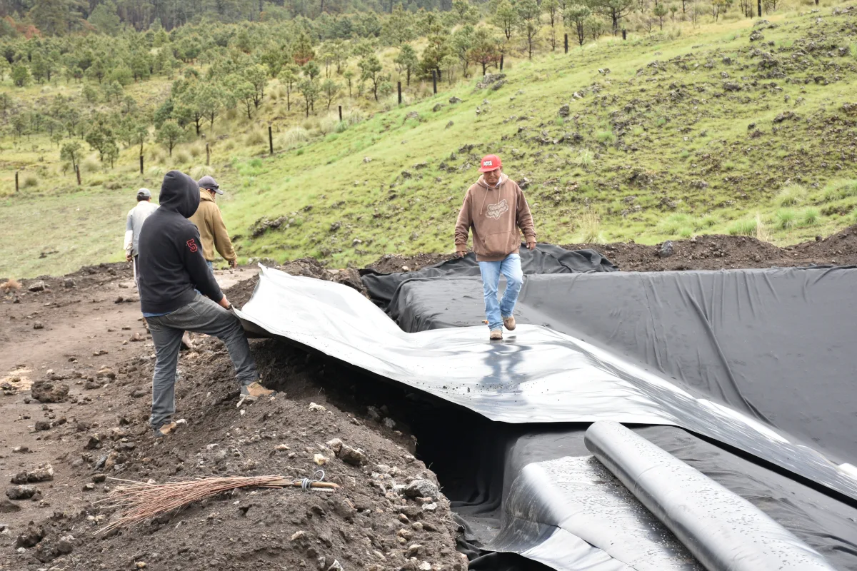En América Latina y el Caribe existen más de 28 mil cooperativas rurales que integran a más de 6 millones de personas, además en muchos casos están compuestas por agricultores familiares. Este modelo fomenta la producción local, genera empleo en zonas rurales y promueve una gobernanza participativa en los territorios - Foto: FAO