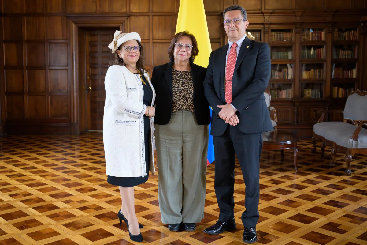 "Los dos, embajadores de Carrera con una amplia y reconocida trayectoria en varias misiones diplomáticas y consulares de nuestro país", manifestó la ministra de Relaciones Exteriores (E), Rosa Yolanda Villavicencio - Foto: Cancillería