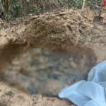 Fosa común con ocho cuerpos en Guaviare: víctimas eran líderes sociales de Arauca ejecutados por disidencias de las FARC - foto: Cortesía Fiscalía