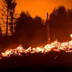 Alemania combate incendios forestales que ya arrasaron más de 1.000 hectáreas en el este del país - Foto: Redes sociales