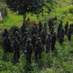 Abatido alias ‘Mogosín’, jefe del Frente “Iván Merchán” de la Segunda Marquetalia, en operativo en Meta - Foto: Redes Sociales