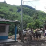 Ataque con explosivos del ELN en Valdivia deja un militar muerto y dos heridos - Foto: Referencia