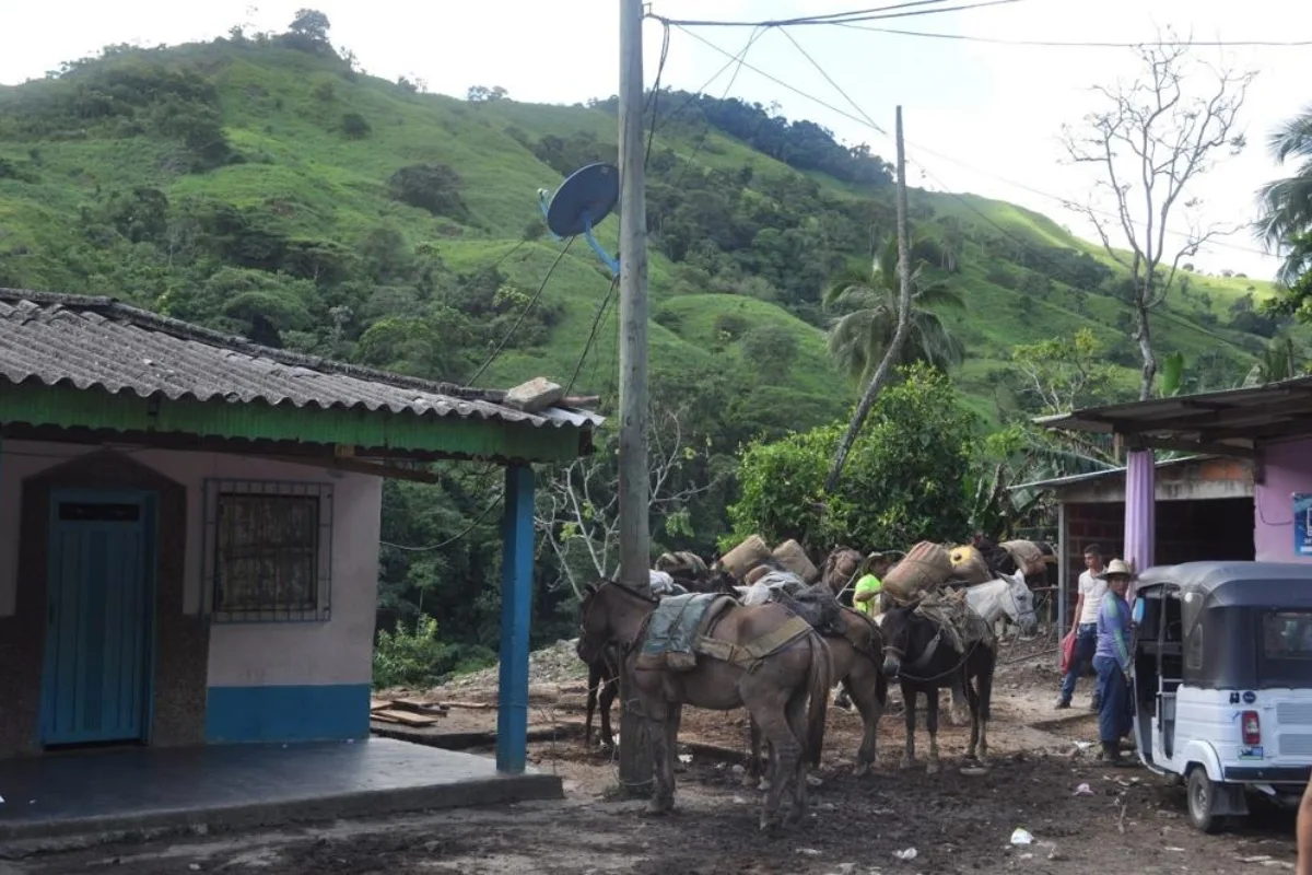 Ataque con explosivos del ELN en Valdivia deja un militar muerto y dos heridos - Foto: Referencia