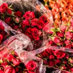 Las flores cortadas, con un incremento del 32,2 %, es el segundo producto del agro con más exportaciones en junio de 2025 - Foto: Ministerio de Agricultura