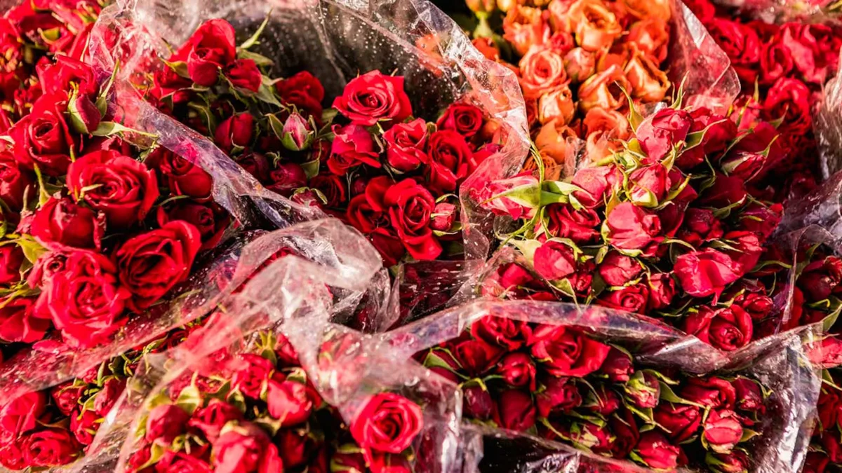 ​​Las flores cortadas, con un incremento del 32,2 %, es el segundo producto del agro con más exportaciones en junio de 2025 - Foto: Ministerio de Agricultura
