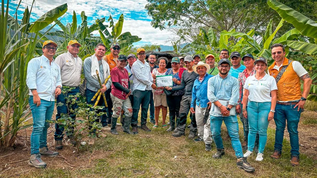 Se trata de tres predios rurales que en conjunto suman 270 hectáreas. Uno de ellos es El Dindal, de más de 97,5 hectáreas, que pertenece al Fondo de Tierras y fue adquirido para beneficiar a las comunidades afectadas por el proyecto hidroeléctrico El Quimbo - Foto: Agencia Nacional de Tierras