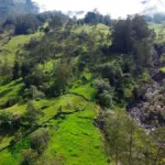 El Tribunal precisó que el juzgado de primera instancia en Málaga, Santander, incurrió en irregularidades procesales al momento de abrir incidente de desacato - Foto: Ministerio de Ambiente