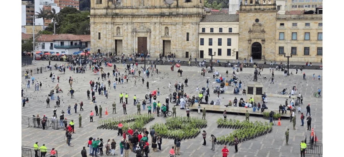 Luego de estar en la celebración, cada uno de estos árboles será destinado a la restauración de los humedales de la ciudad y los Cerros Orientales - Foto: Alcaldía de Bogotá
