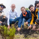 El programa contempla la participación de la ciudadanía mediante un sistema de adopción simbólica de frailejones a través de la página oficial de Cumbres Blancas - Foto: Vía Sumapaz