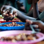La proporción de la población que se enfrenta al hambre en África superó el 20 % en 2024 —afectando a 307 millones de personas—, mientras que en Asia occidental se estima que el 12,7 % de la población —más de 39 millones de personas— habría sufrido hambre en 2024 - Foto: FAO