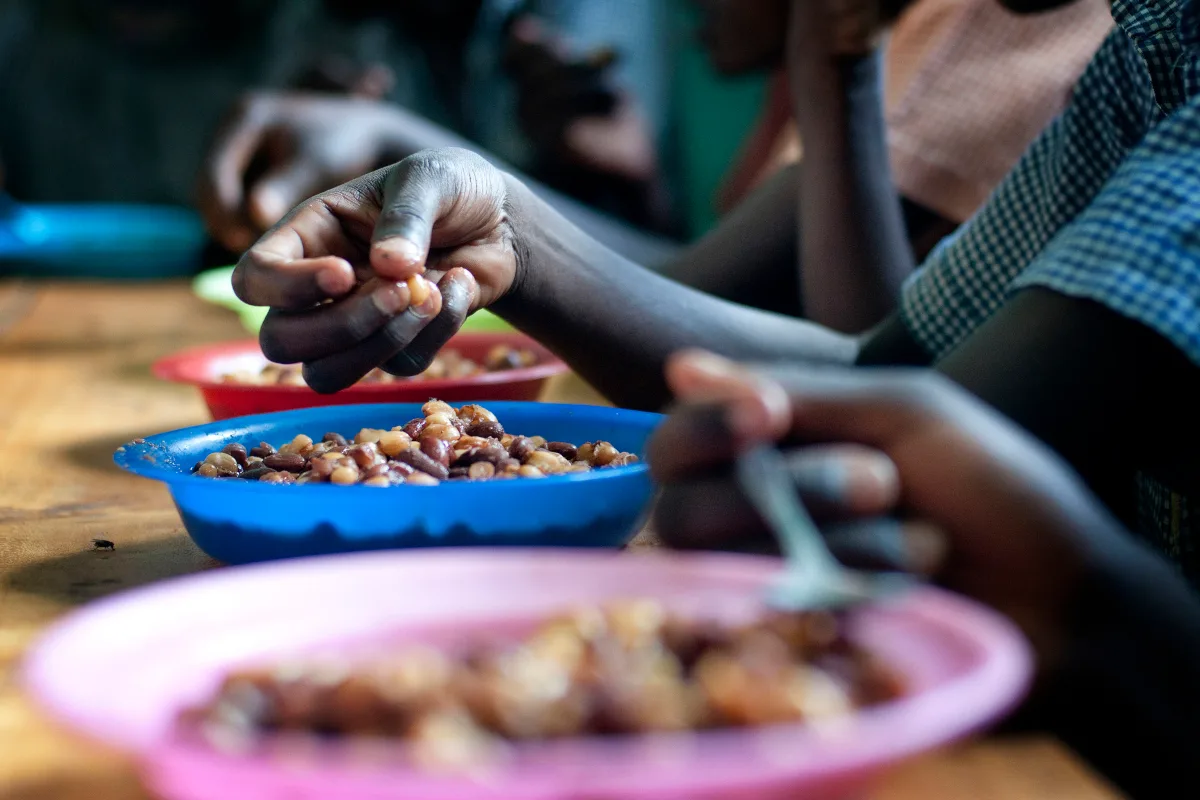 La proporción de la población que se enfrenta al hambre en África superó el 20 % en 2024 —afectando a 307 millones de personas—, mientras que en Asia occidental se estima que el 12,7 % de la población —más de 39 millones de personas— habría sufrido hambre en 2024 - Foto: FAO