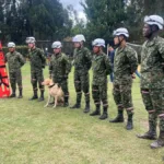Unidades especializadas del Ejército Nacional buscan intensamente a Valeria Afanador de 10 años, desaparecida en Cajicá - Foto: Ejército Nacional
