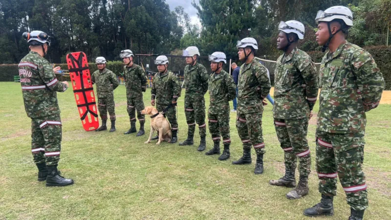Unidades especializadas del Ejército Nacional buscan intensamente a Valeria Afanador de 10 años, desaparecida en Cajicá - Foto: Ejército Nacional