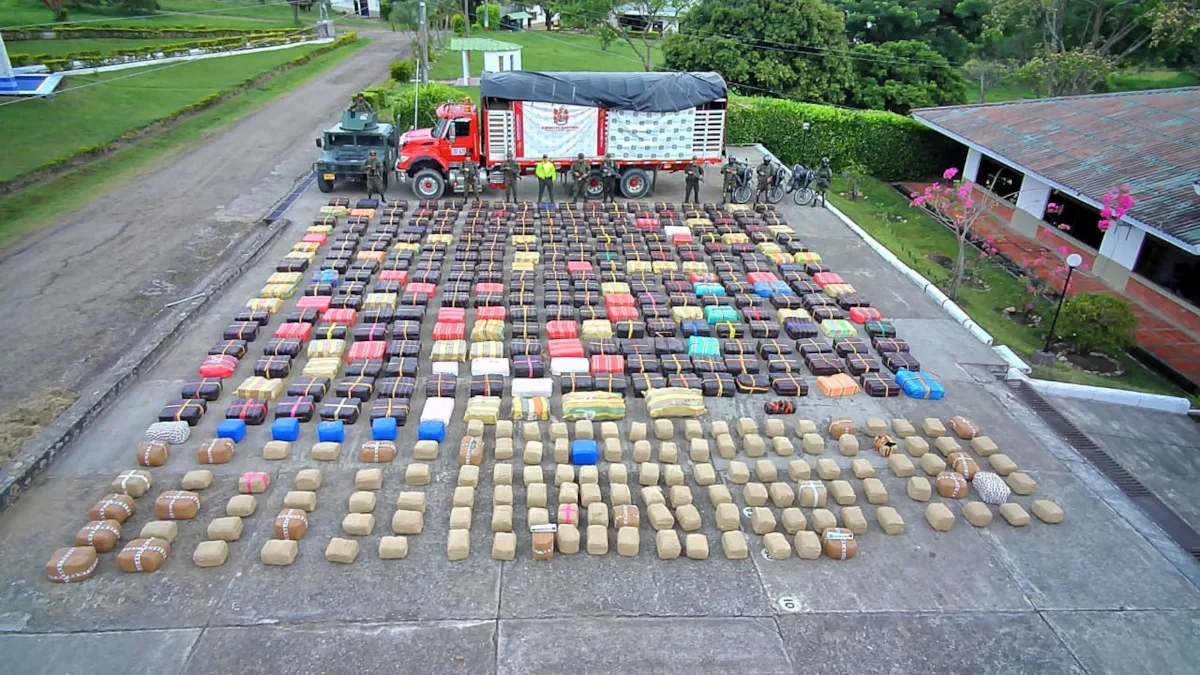 La incautación representa la eliminación de más de 8 millones de dosis individuales de marihuana, evitando su circulación en redes internacionales de microtráfico - Foto: Ejército Nacional