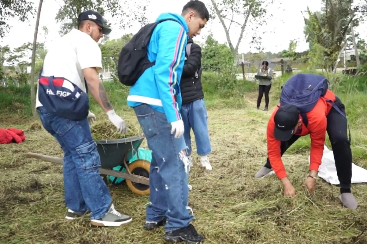 Más de 7.000 evasores del transporte en Bogotá han conmutado multas con trabajo comunitario - Foto: @SeguridadBOG