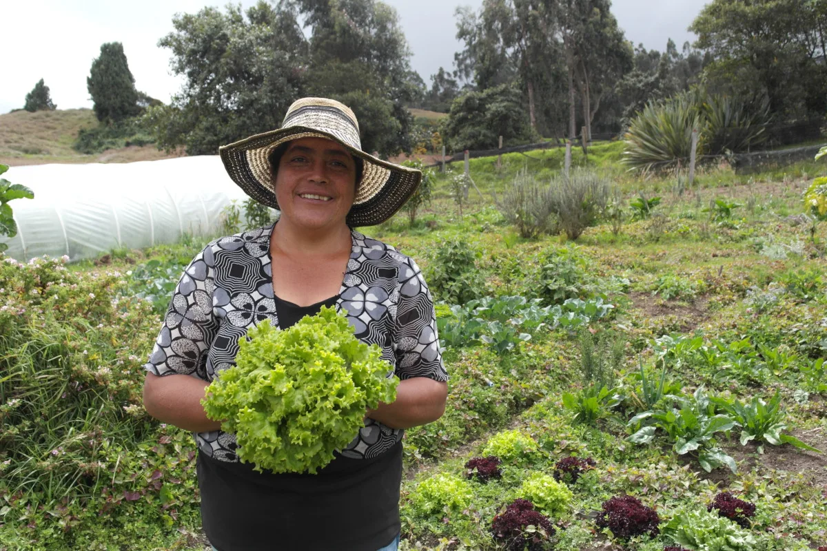 La iniciativa busca reducir la malnutrición, conectar campo y ciudad, y garantizar un sistema agroalimentario más justo y sostenible - Foto: Alejandra Lopera/FAO