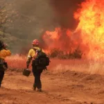 Incendio en California amenaza cientos de viviendas y deja al menos tres heridos - Foto: Reuters