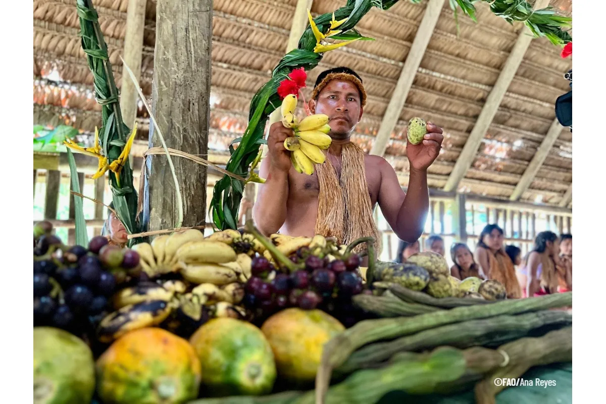En el Día Internacional de los Pueblos indígenas, que se conmemora cada 9 de agosto, la FAO destaca el papel estratégico que cumplen estas comunidades en la conservación ambiental, gracias al respeto por las normas propias, el conocimiento ancestral y una visión integral del territorio - Foto: Ana Reyes/FAO