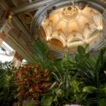 En Madrid, el Círculo de Bellas Artes es uno de los refugios climáticos más concurridos. Incluso las plantas son llevadas temporalmente a dicho espacio - Foto: Círculo de Bellas Artes de Madrid