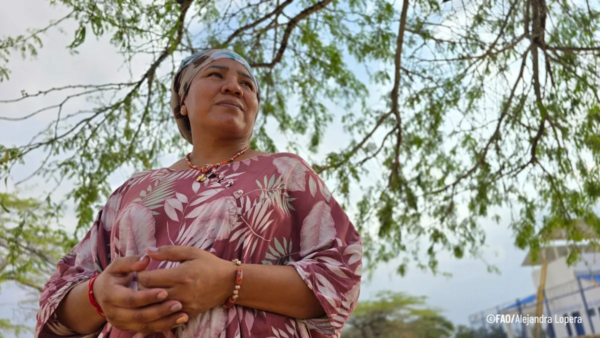 En el desierto de La Guajira, donde el sol endurece la tierra y el agua ha sido históricamente un bien escaso, las mujeres Wayúu han demostrado que el futuro se puede hilar con paciencia, resiliencia y cooperación - Foto: FAO/Alejandra Lopera