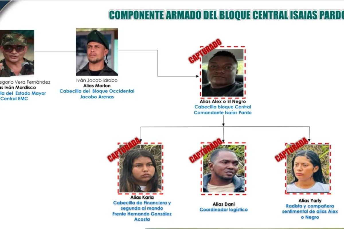 Gobierno confirma captura de cuatro integrantes del Bloque Central Isaías Pardo, disidencia de las Farc vinculada al atentado en La Plata (Huila) - Foto: Cortesía