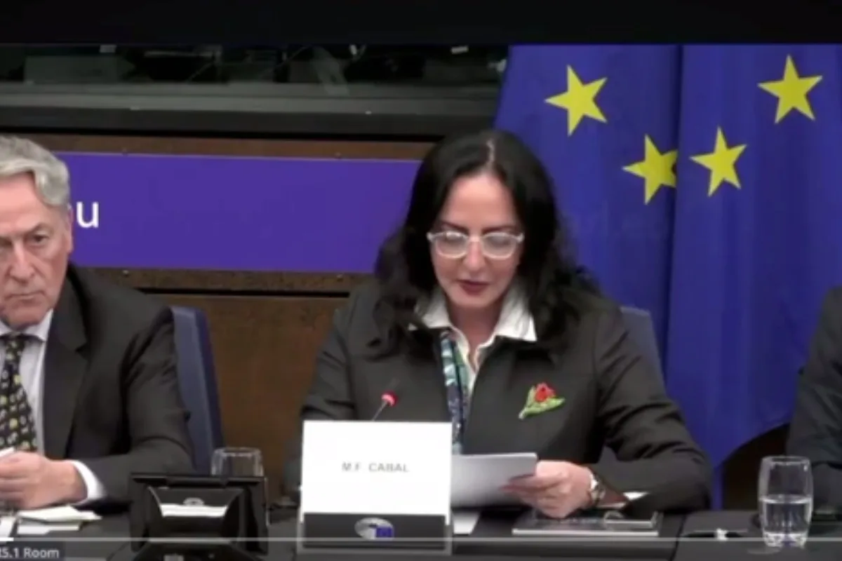 Cabal y Vallejo pidieron al Parlamento Europeo vigilancia sobre las elecciones de 2026 en Colombia - Foto: Captura de video